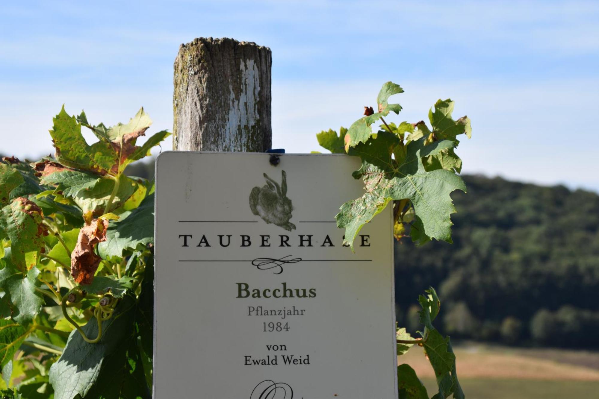 Tauberzell Adelshofen (Ansbach)